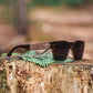 Roadtripmadewood Lunettes de soleil Lunette de soleil Roadtrip XL ambre en bois
